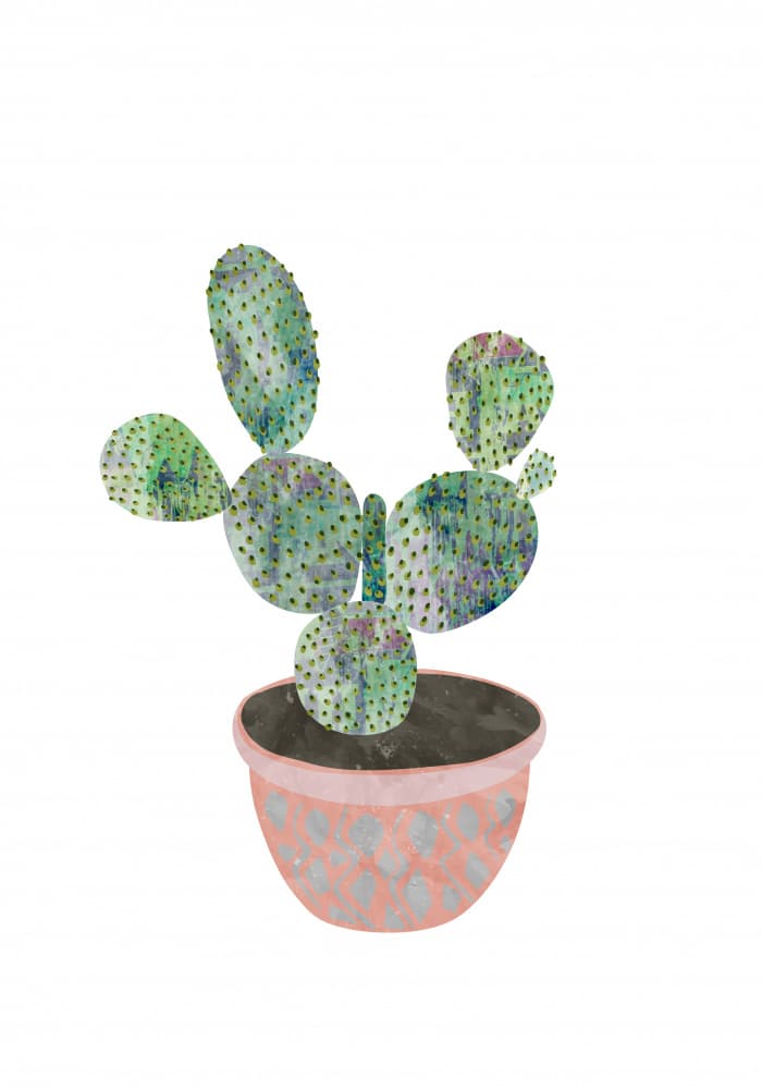 Watercolor Cactus Pot by Sarah Manovski — canvas wall art