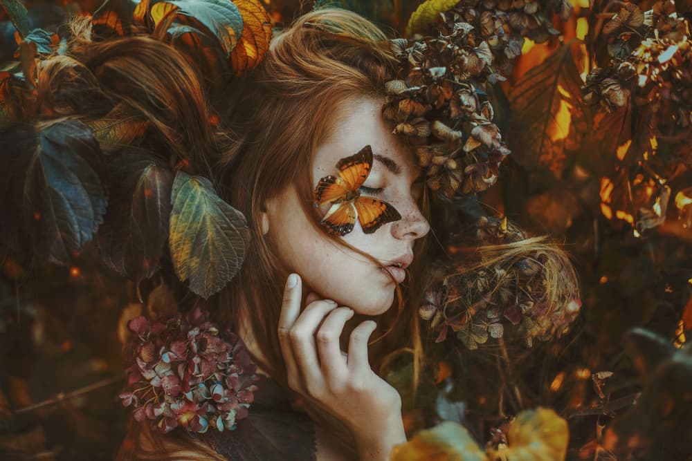 Autumn Butterfly Dream by Markéta Leupoldová — canvas wall art