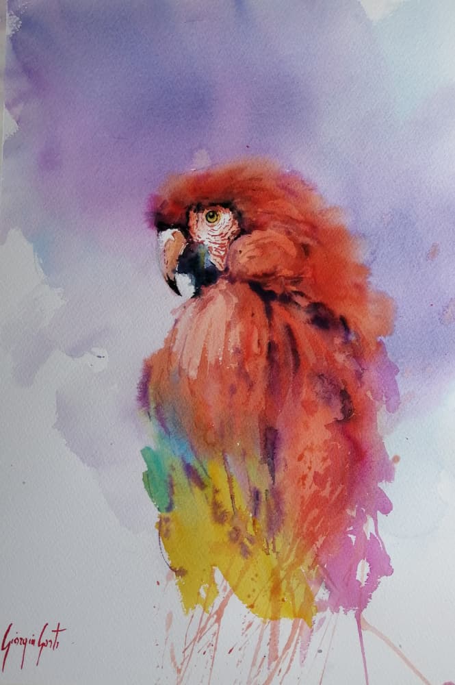 parrot 2 by Giorgio Gosti — canvas wall art