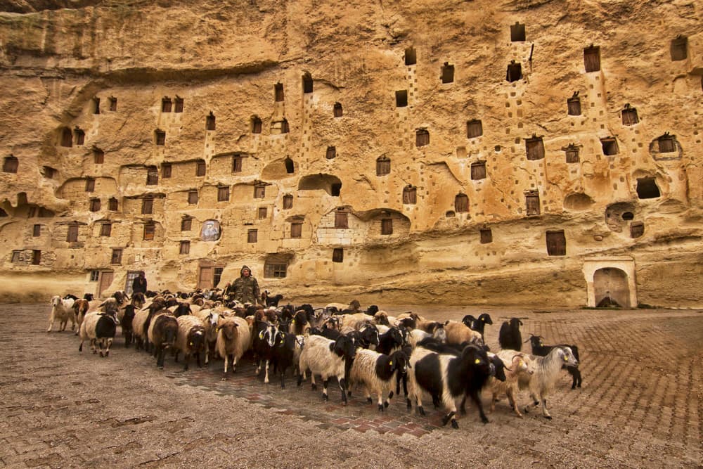 Shepherd Among Cave Dwellings by Nese Ari — canvas wall art