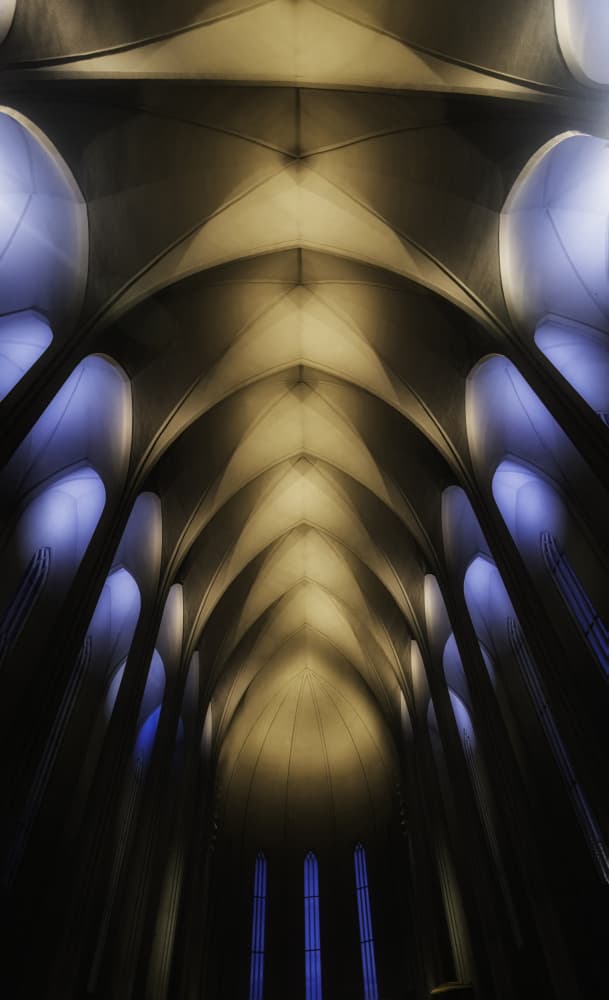 Vaulted Cathedral Light by C. Ray Roth — canvas wall art