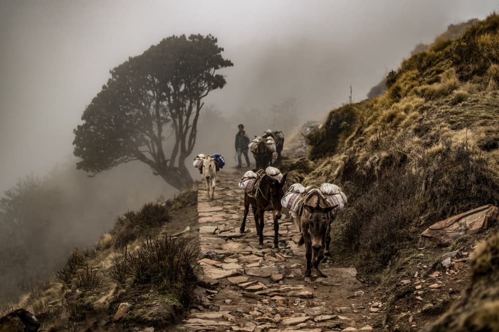 Misty Mountain Journey by Adrian — canvas wall art