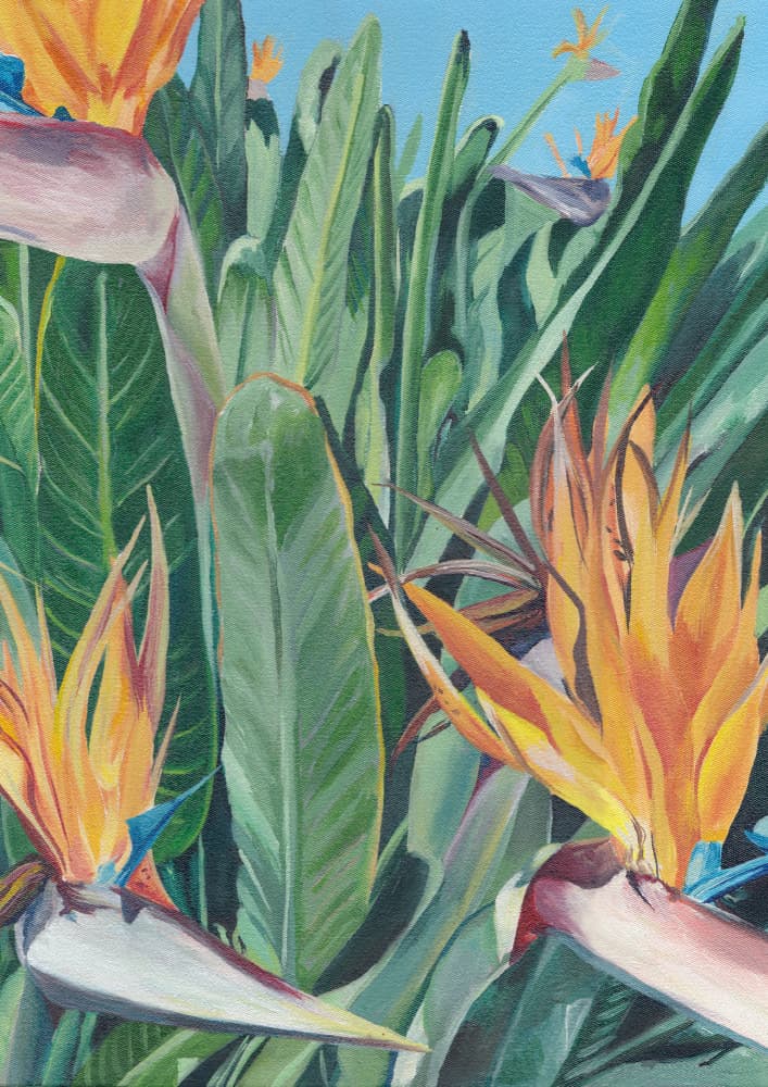 Vibrant Bird Of Paradise by Viccy Wanliss — canvas wall art
