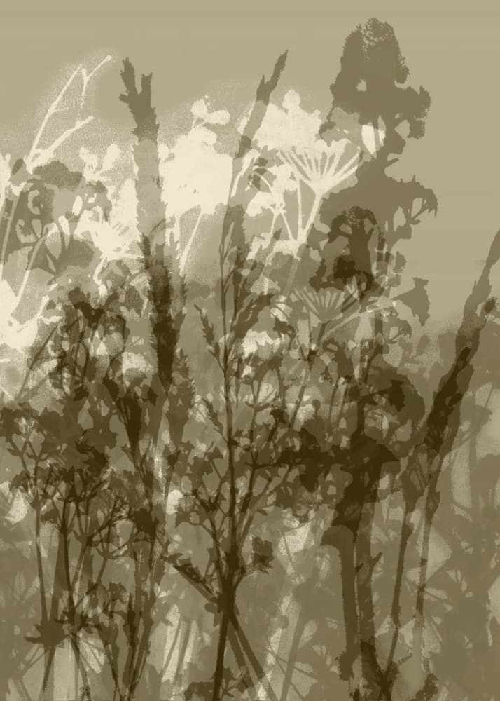 Vintage Sepia Wildflowers by Dina Dankers — canvas wall art