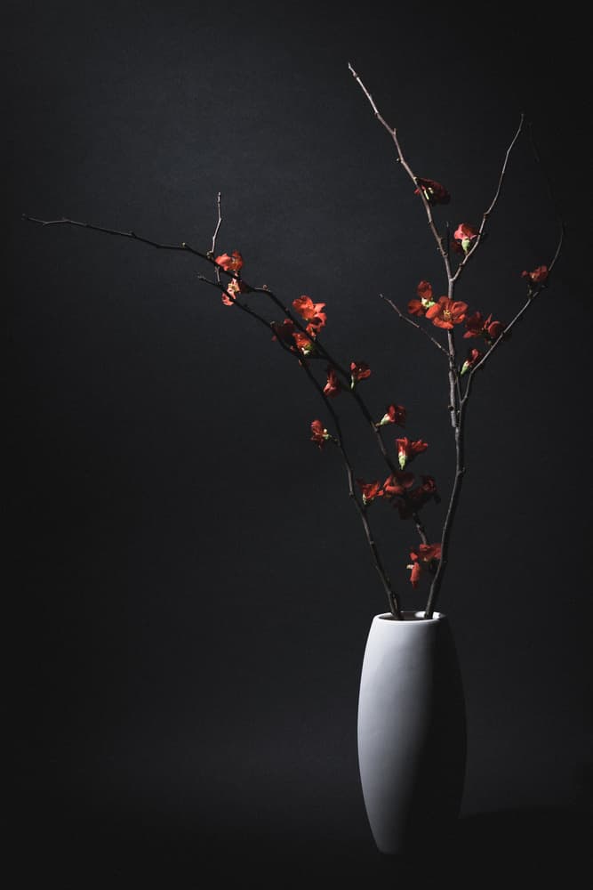 Blossoms In Shadow by Daisuke Kiyota — canvas wall art