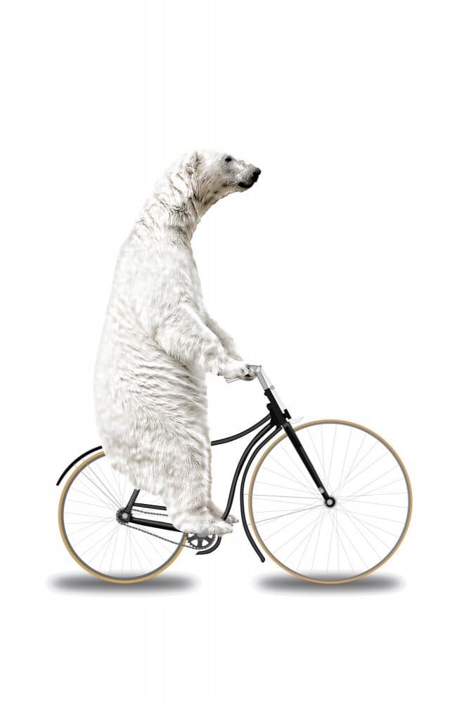 Polar Bear Bike Ride by Marja van den Hurk — canvas wall art