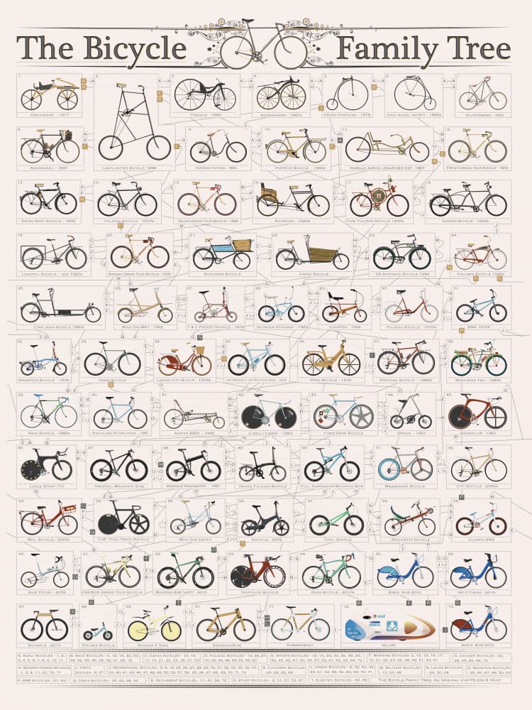 The Bicycle Family Tree by Wyatt 9 — canvas wall art
