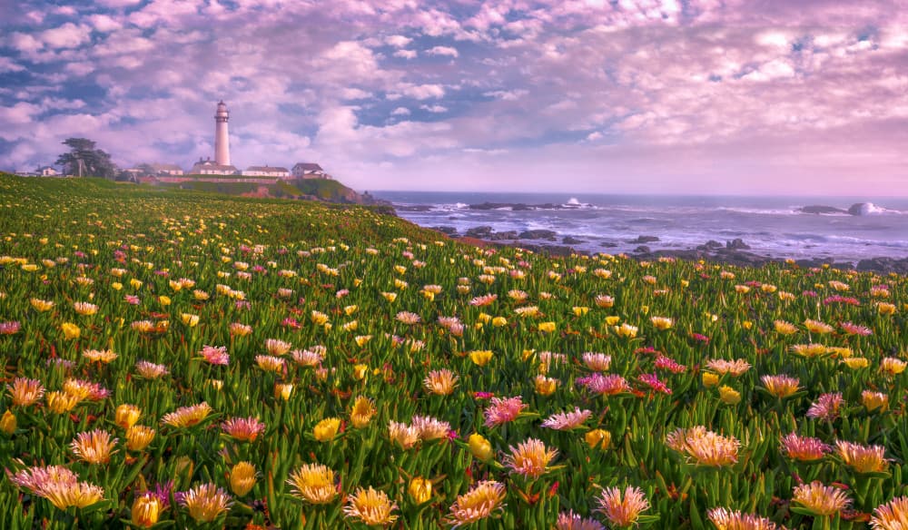 Coastal Bloom Lighthouse by Sophia Li — canvas wall art