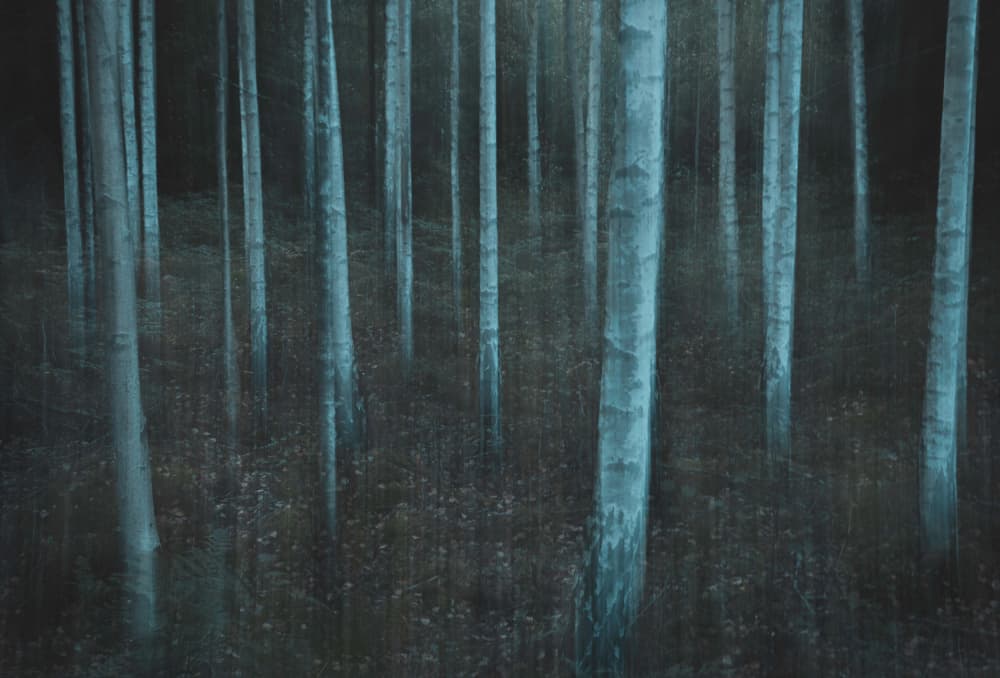 Ethereal Blue Forest by Christian Lindsten — canvas wall art