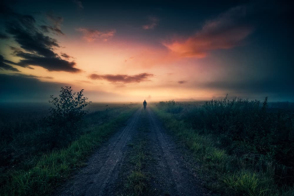 Misty Path Golden Horizon by Mika Suutari — canvas wall art