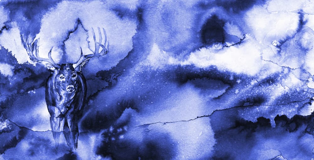 Mystical Blue Deer by RodMacIver — canvas wall art