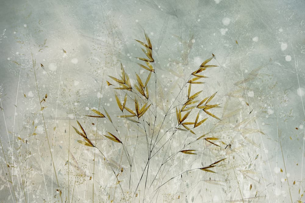 Wintertime by Nel Talen — canvas wall art