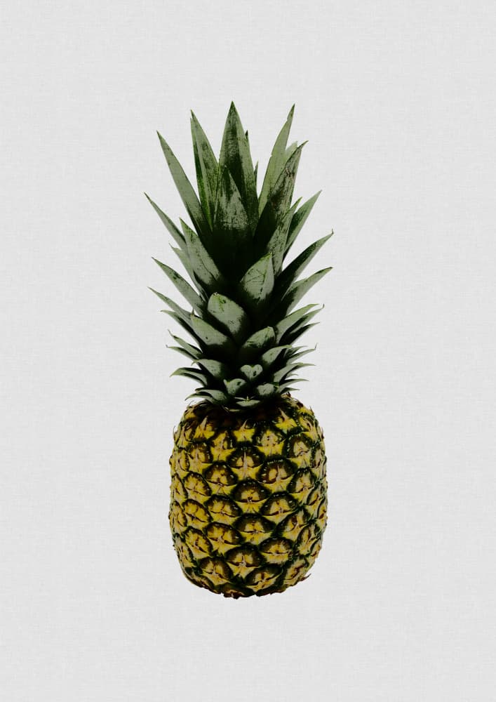 Fresh Tropical Pineapple by Orara Studio — canvas wall art