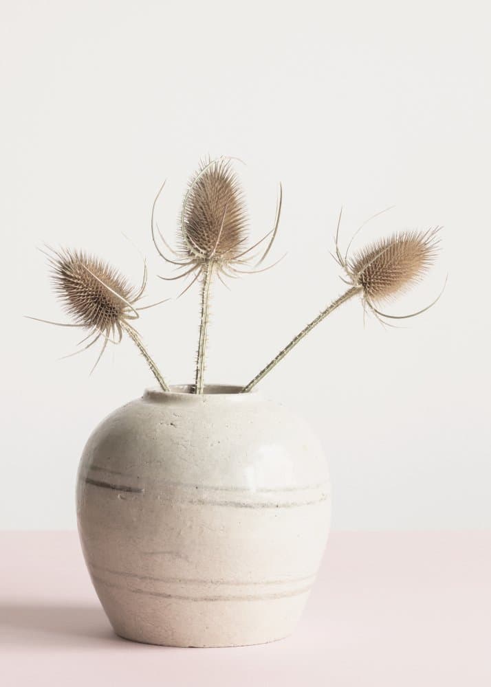 Earthy Dried Thistle Vase by Pictufy Studio III — canvas wall art
