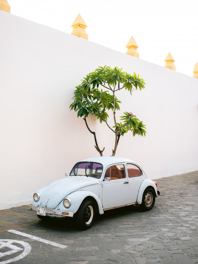 Pastel Volskwagen Beetle in the streets of Oaxaca Mexico by Raisa Zwart — canvas wall art