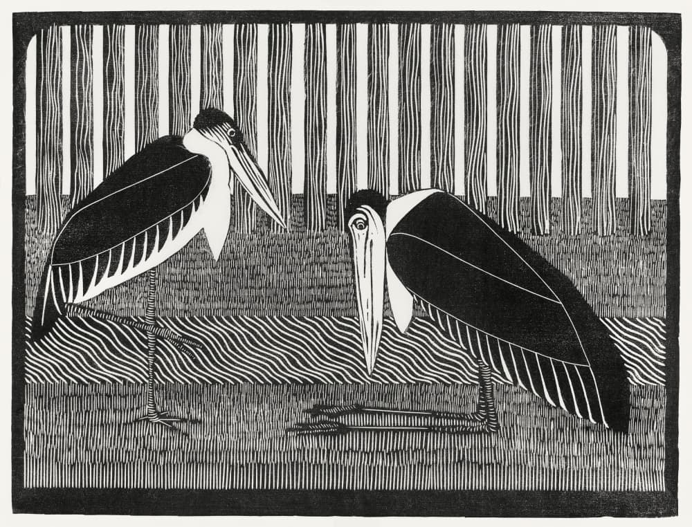 Two Maraboos by Samuel Jessurun De Mesquita — canvas wall art