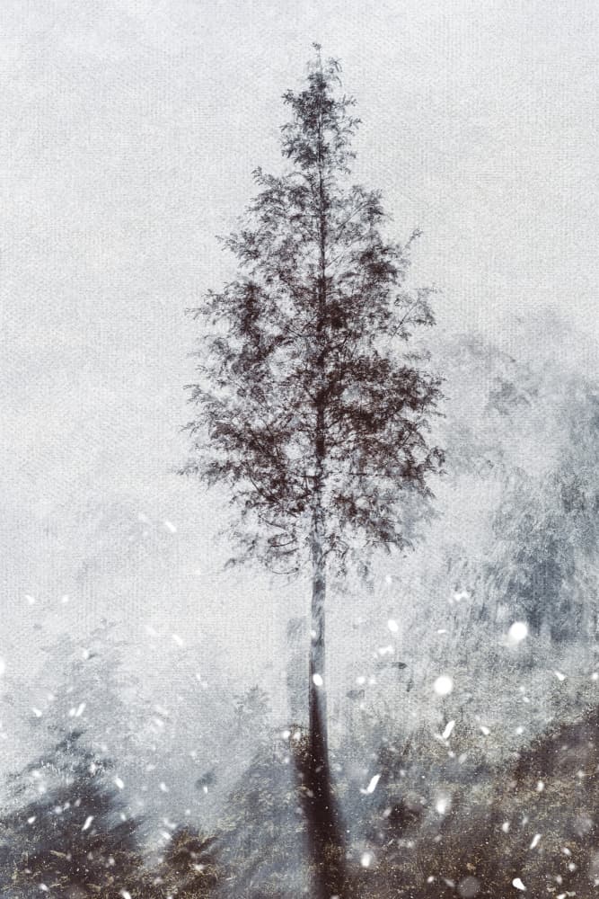 Misty Winter Tree by Imaginative — canvas wall art