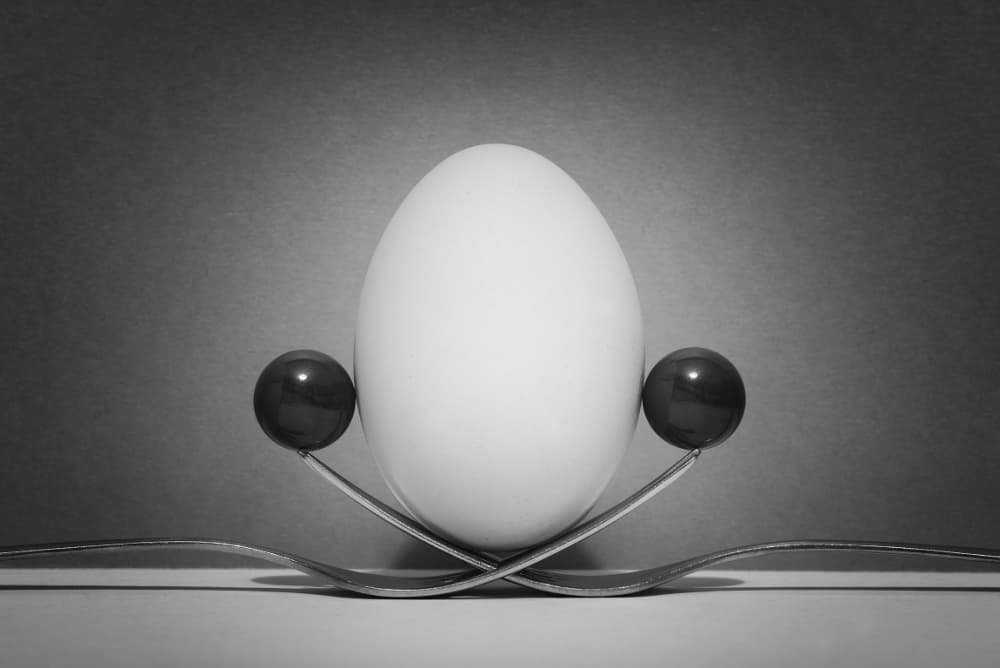 Egg on Balancing Forks by Dusan Macko — canvas wall art