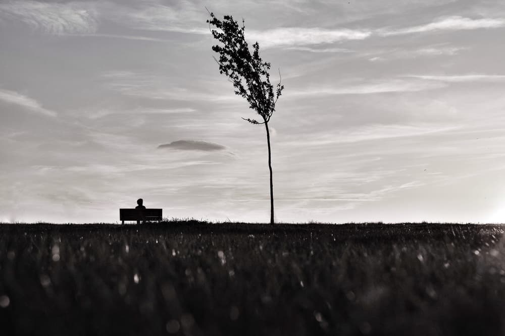 Peaceful Horizon Solitude by Ali Ayer — canvas wall art