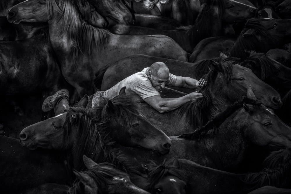 Aloitador by Alfonso maseda varela — canvas wall art