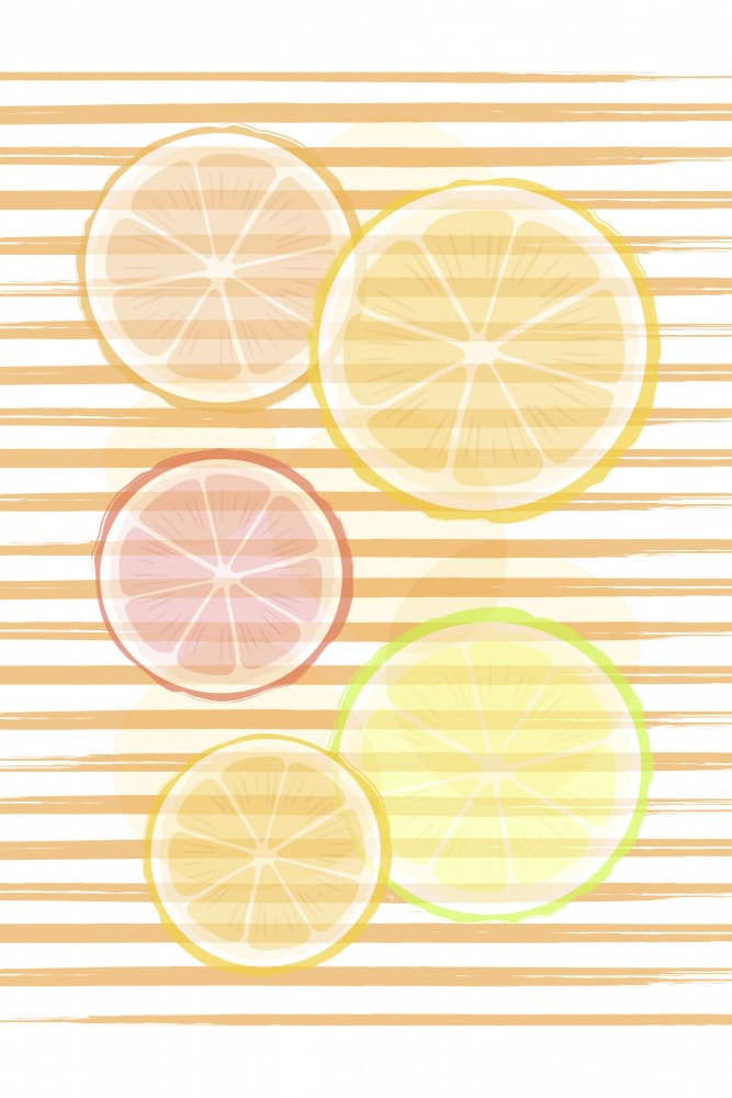 Vibrant Citrus Slices by Martina — canvas wall art