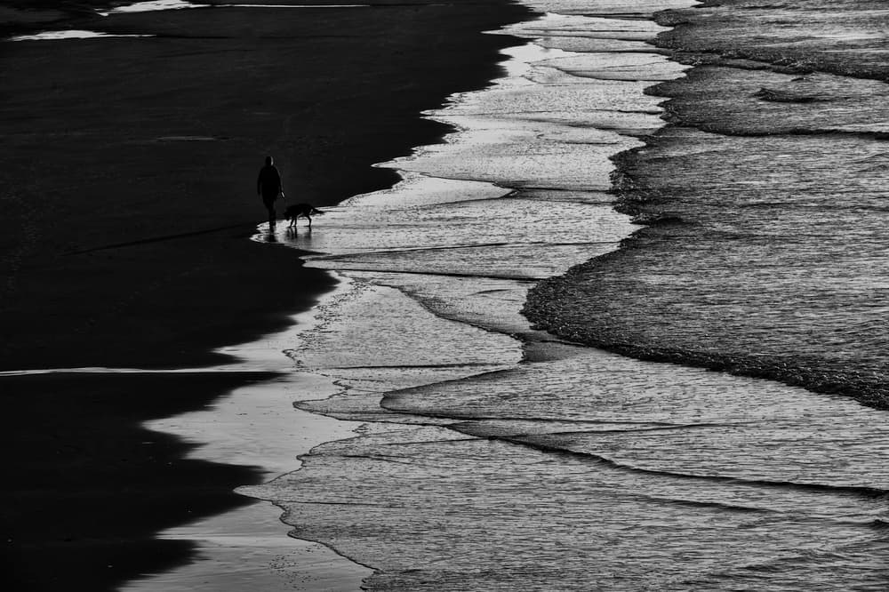 Solitary Beach Stroll by Liyun Yu — canvas wall art