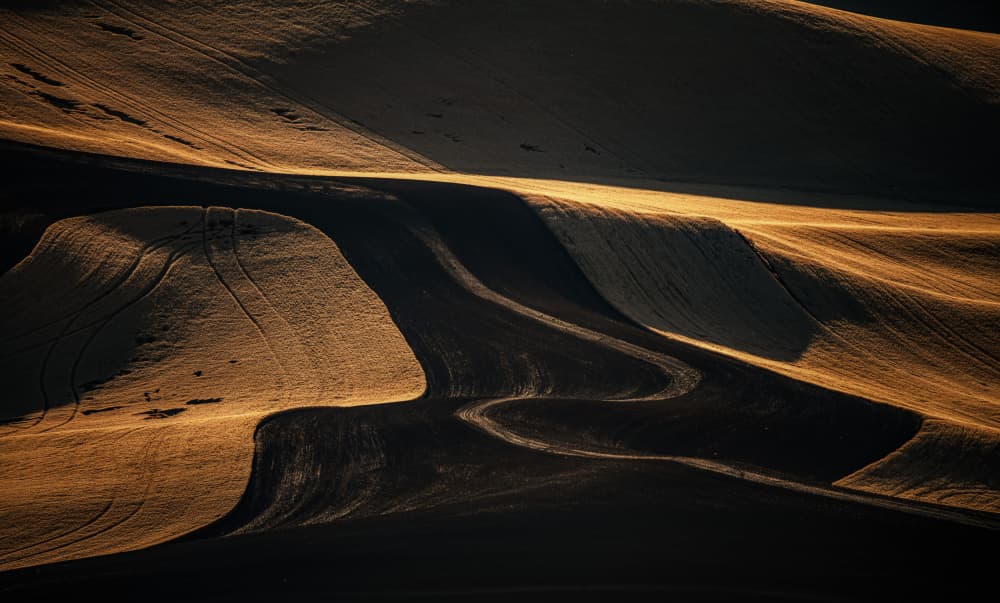 Golden Rolling Hills by Jie Cheng — canvas wall art