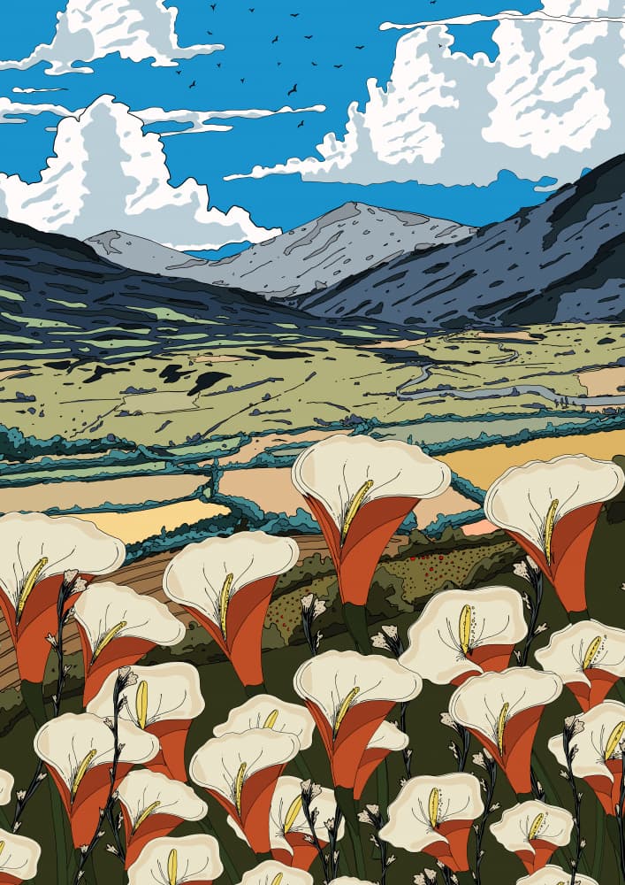 Calla Lilies Mountain Valley by Nicholas — canvas wall art