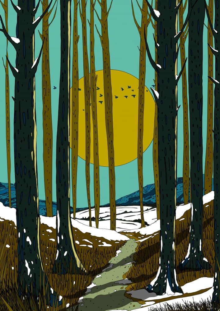 Golden Sun Forest Path by Nicholas — canvas wall art