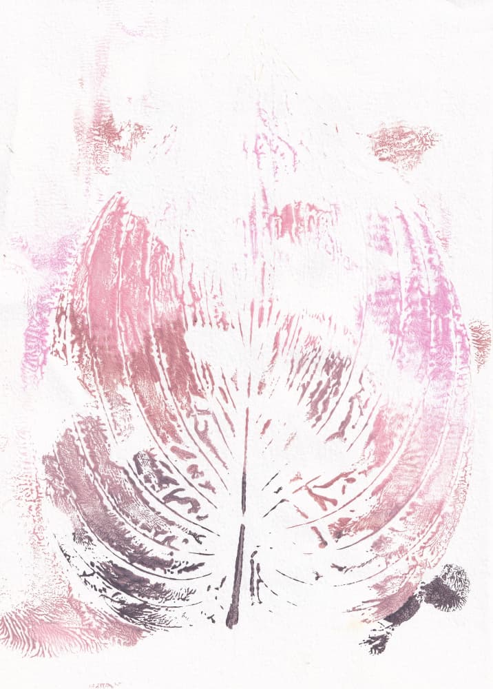 Pink Botanical Leaf by Maira Ribena — canvas wall art