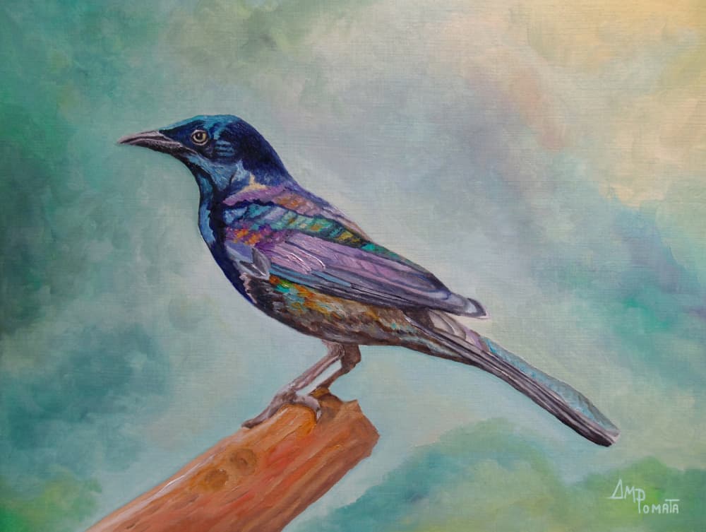 Iridescent Perched Bird by Angeles M. Pomata — canvas wall art