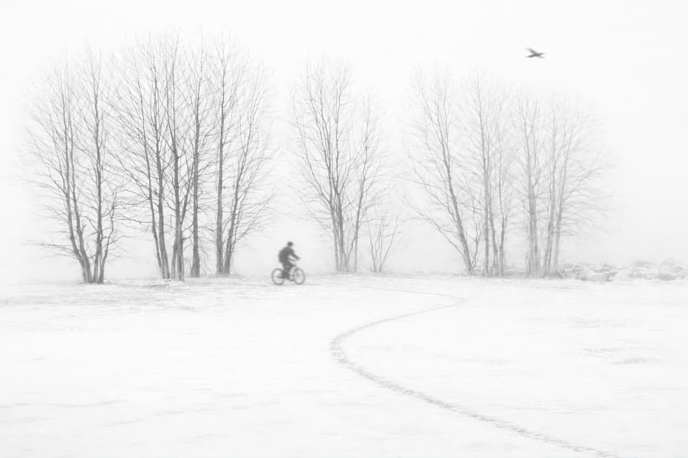 Silent Winter Bike Ride by X-FlyingKN — canvas wall art