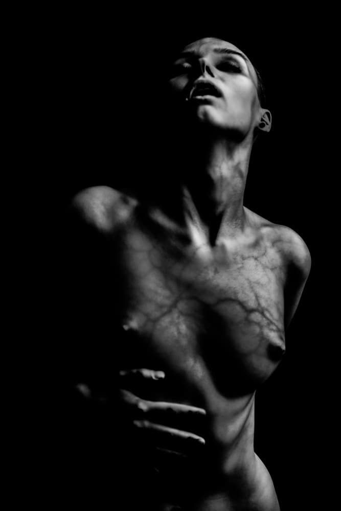 Bare Veins by AURIMAS VALEVICIUS — canvas wall art