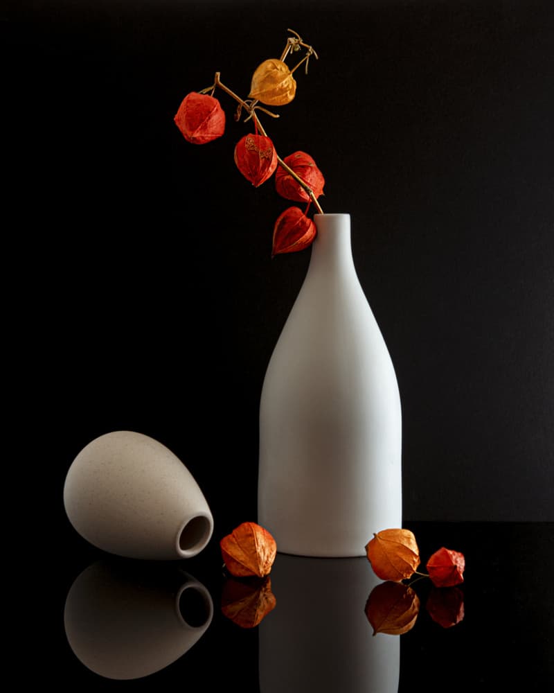 Modern Chinese Lantern Still Life by Louie Luo — canvas wall art