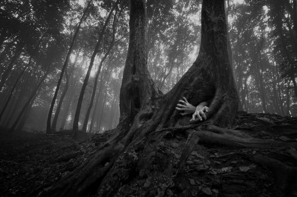 Spooky Forest Hands by PhotoCosma — canvas wall art
