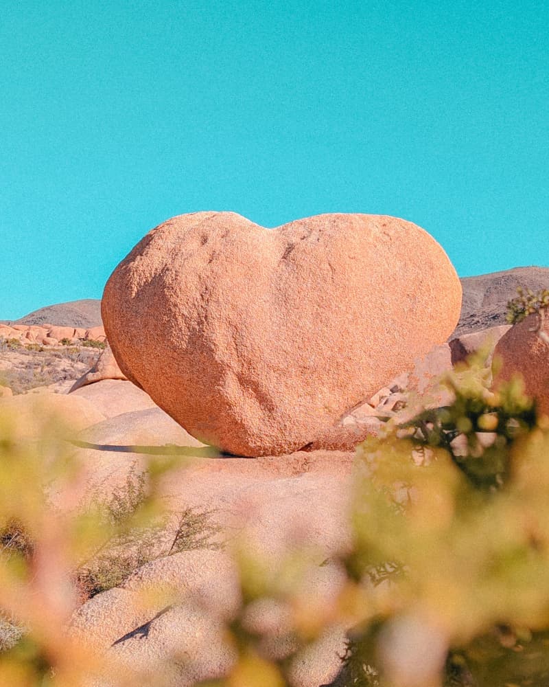 Heart Rock in Joshua Tree National Park, California by Tom Windeknecht — canvas wall art