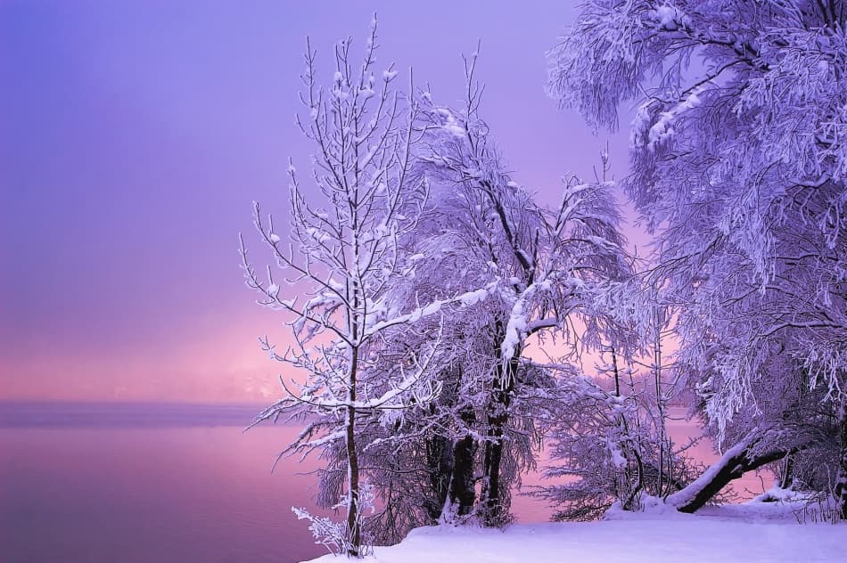 Snowy Purple Dawn by Norbert Maier — canvas wall art