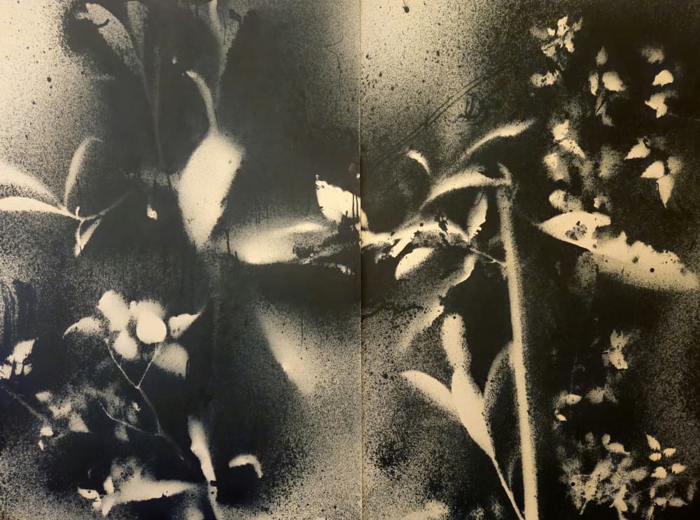 Ethereal Botanical Forms by Stefano Mazzolini — canvas wall art