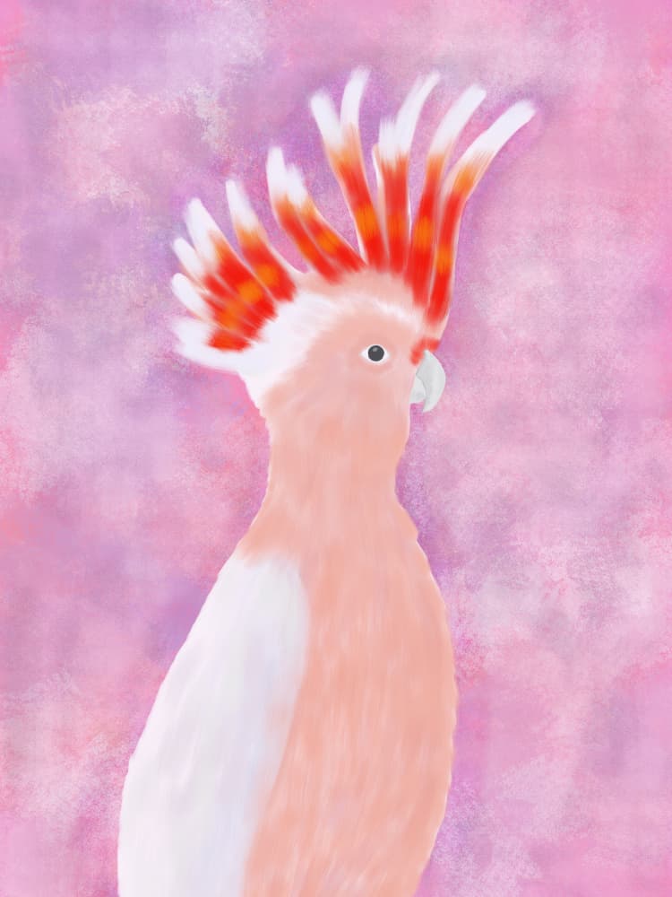 Elegant Pink Cockatoo by Aliya Putrus — canvas wall art