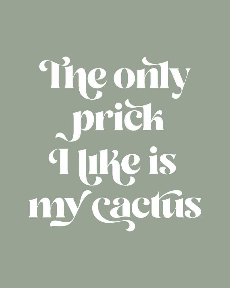 Sassy Cactus Quote by KsanaKalpa — canvas wall art