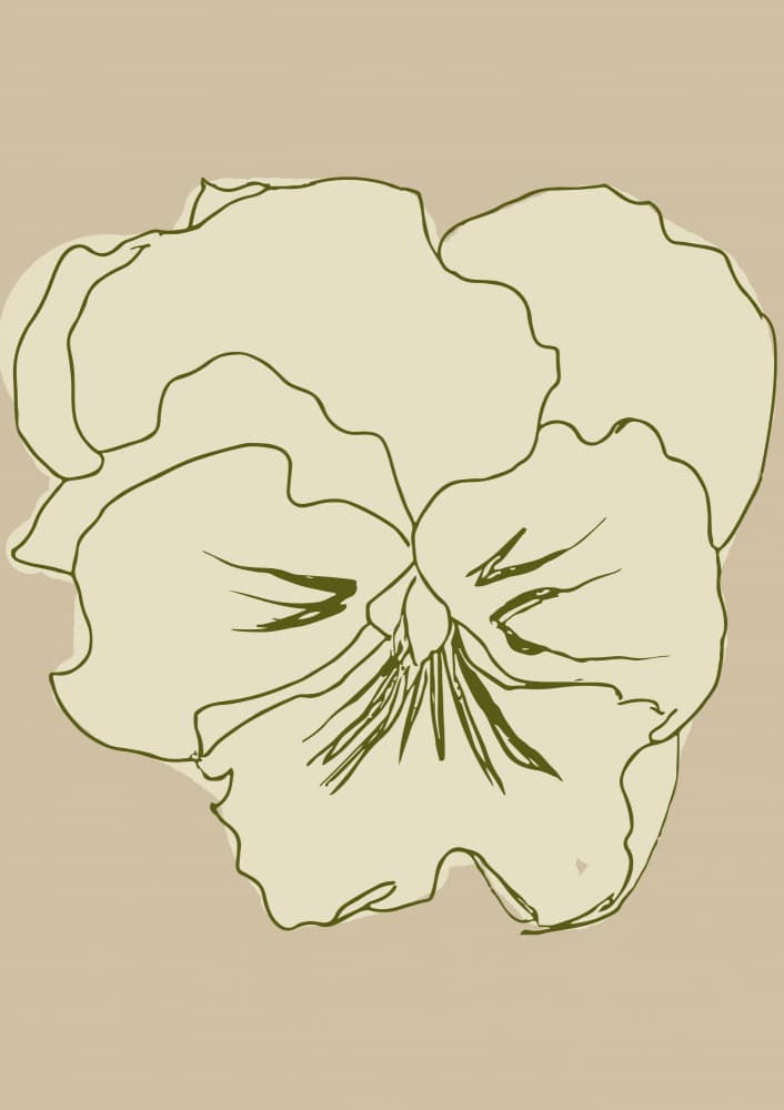 Beigepansy by Treechild — canvas wall art