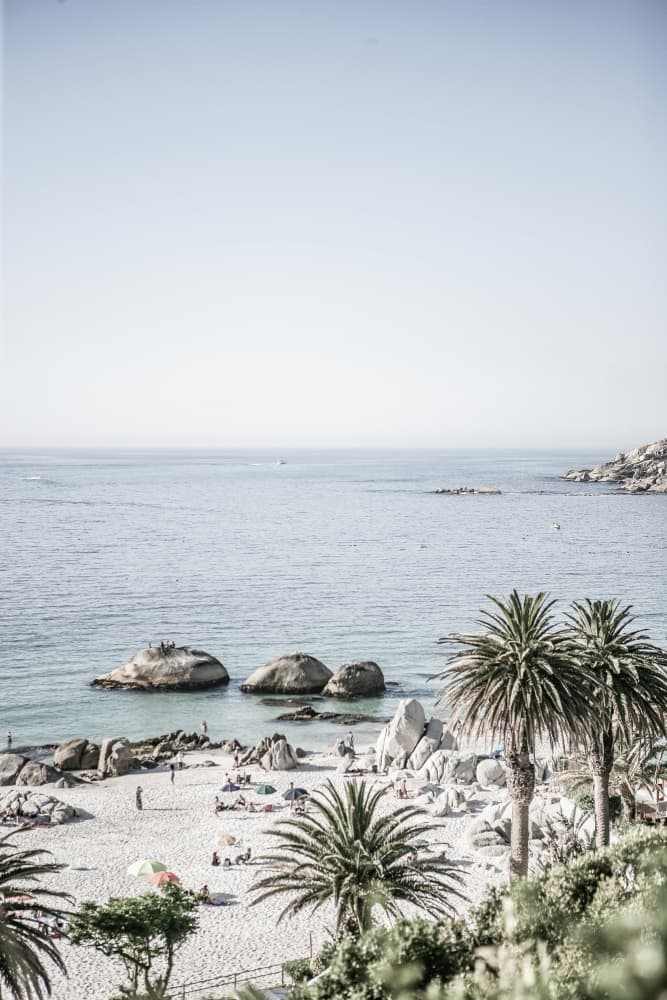 Tranquil Shoreline by Shot by Clint — canvas wall art