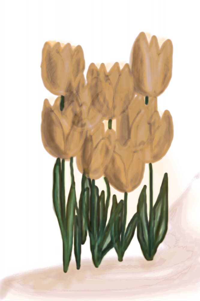 Soft Beige Tulips by Christina Sillen — canvas wall art