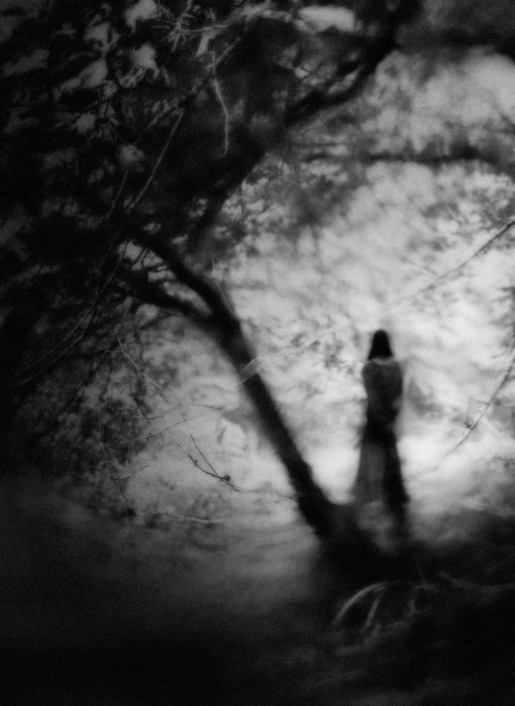 Solitary Figure Dark Woods by Teruhiko Tsuchida — canvas wall art