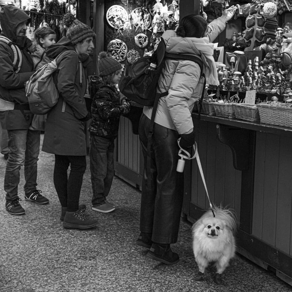 Market Dog Shoppers by Wendy Fischer Hartman — canvas wall art
