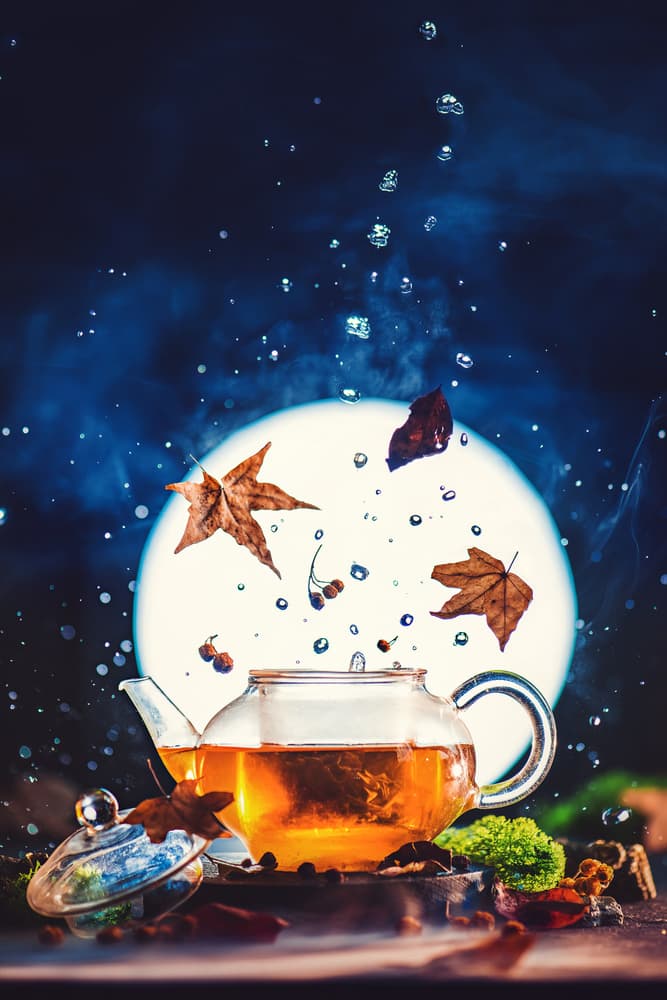 Moonlit Autumn Tea by Dina Belenko — canvas wall art