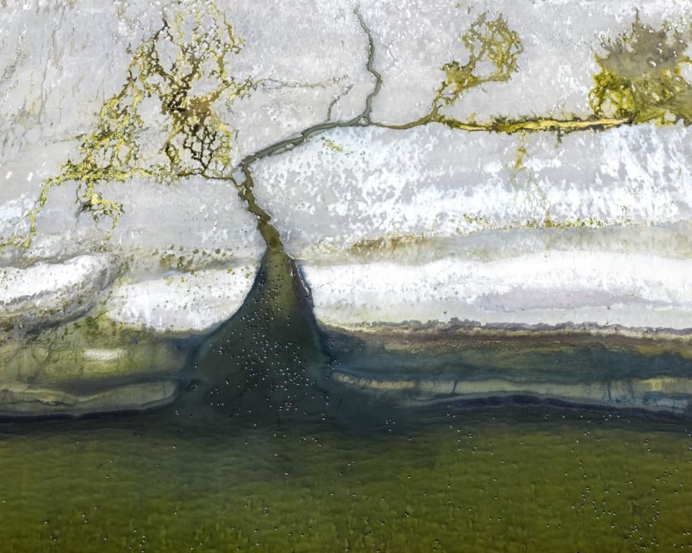 Organic Earth River by Shenshen Dou — canvas wall art