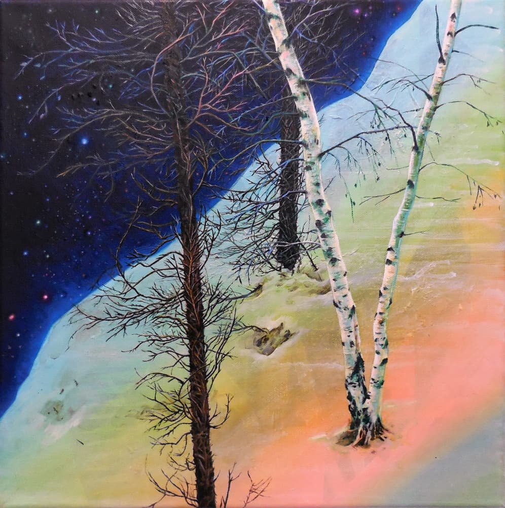 Forest Day Night by Anne Wölk — canvas wall art