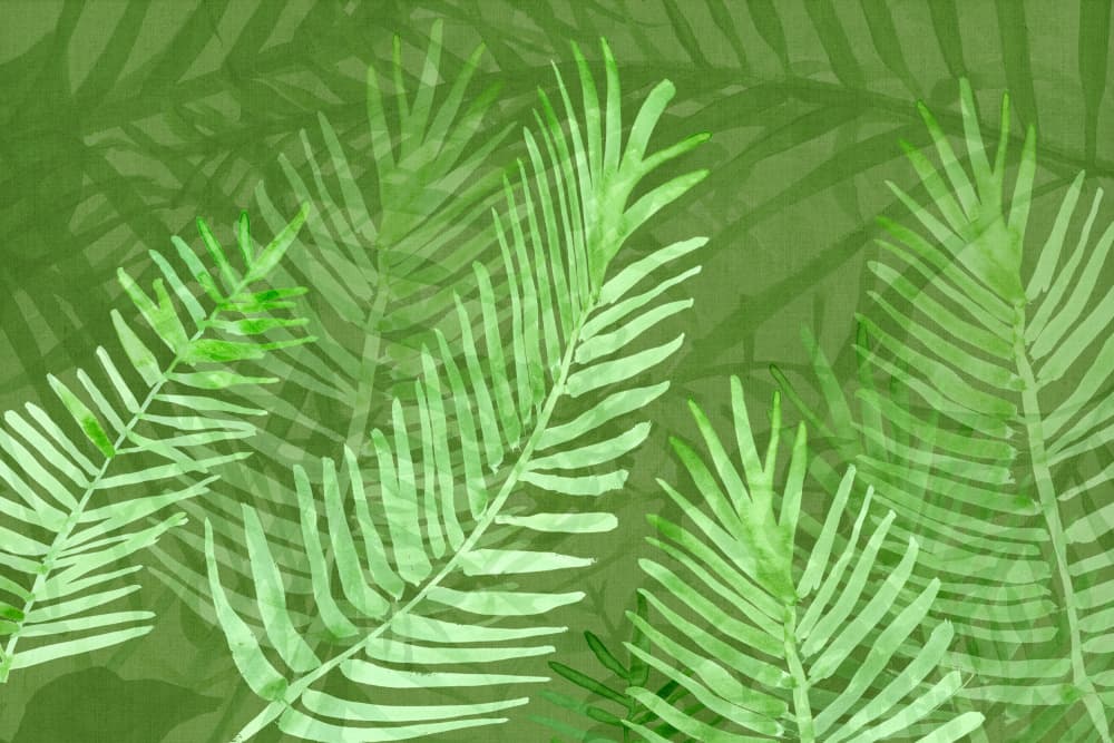 Lush Tropical Palm Leaves by cartissi — canvas wall art
