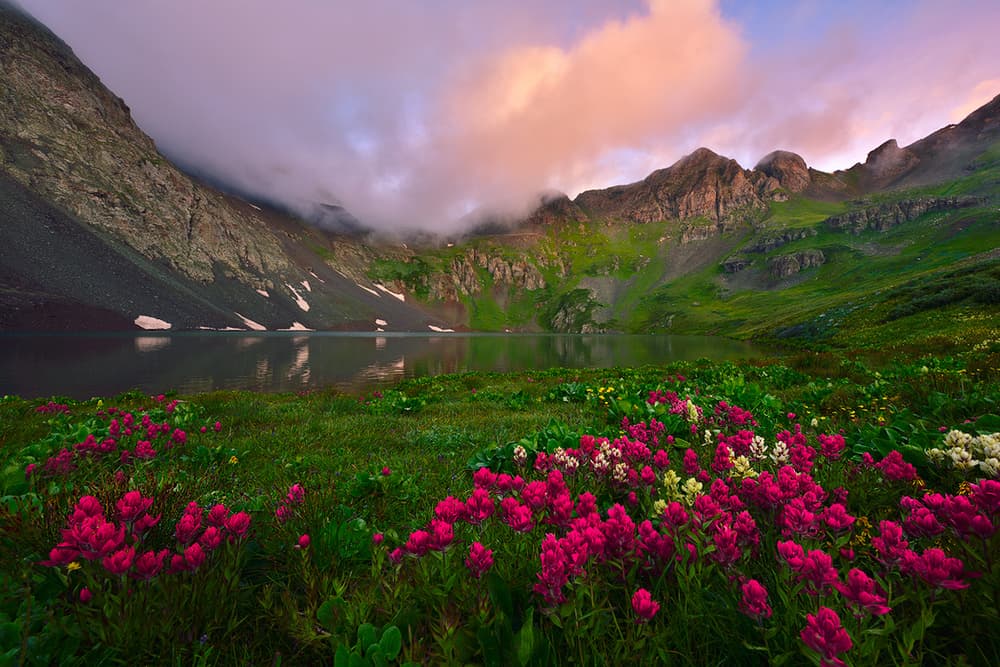 Misty Mountain Wildflowers by Mei Xu — canvas wall art